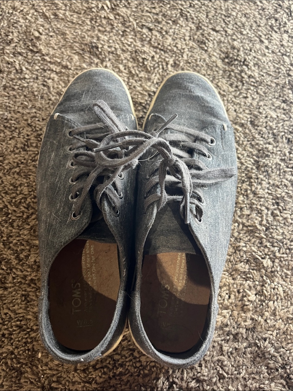 TOMS Women’s Charcoal Canvas Lace-Up Sneakers